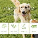 디원덴탈 이미지