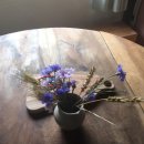 파랑새정원 이미지