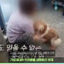 철장커뮤니티 이미지