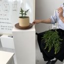 꽃으로 힐링하는 플라워 클래스 | 학동역 꽃집 희다 플라워 원데이클래스 후기 트로피칼 플라워 박스 꽃꽂이 체험 추천