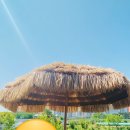 강동로4-1 이미지