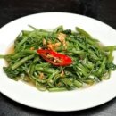 모닝글로리 이미지