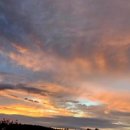 경기도 수원시 팔달구 세지로399번길 이미지