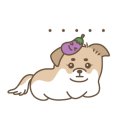 대흥장 이미지