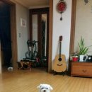 러키 이미지