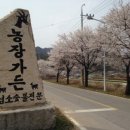 문경흑염소 이미지