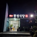 광성카 이미지