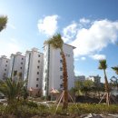 라온국제 이미지