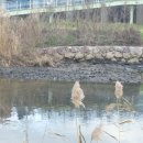 마치세월교 이미지