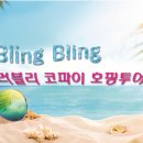 파이투어 Daum카페