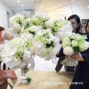 닥터베이직랩 이미지