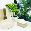 에제르헤어 이미지