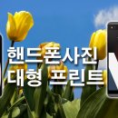 에버랜드튤립축제 티스토리