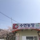 수연농장 이미지