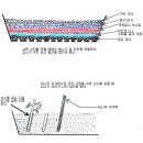 취목(높이때기)과 삽목 | 분재 이론 및 지식 이미지