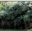 시가 있는 저녁 이미지