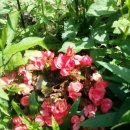 온유농장 이미지