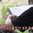 동욱농장 네이버블로그