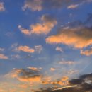 이유신피아노학원 이미지