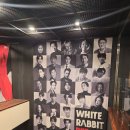 엔터테이너 거리 | [후기]20250523 화이트래빗 레드래빗 - 김동완