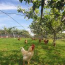 행복한농사꾼 이미지