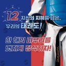 한국체대 사랑태권도 이미지