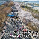 한국공연예술매니저 | 2026 여의도 벚꽃축제 기본정보, 예술공연과 관람코스 꿀팁