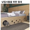 냥집사들을 위한 침대ㅋㅋㅋ 이미지