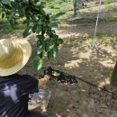 우두농장 이미지