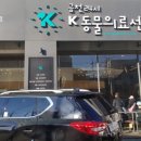 금천24시 K동물의료센터 이미지