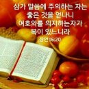 2020-주132 Daum카페