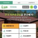 태백고원자연휴양림 자동차야영장 이미지