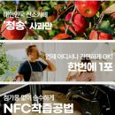 청송사과꽃내음 이미지