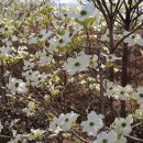 개화농장 이미지