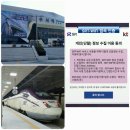 빅썬