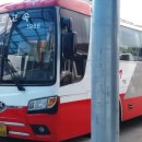 벌교원동 이미지