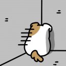 국립교통재활병원 이미지