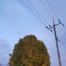 어은리경로당 이미지