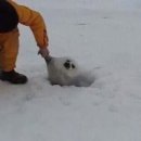 토주 이미지