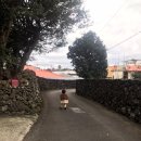 볼몽지엥 이미지