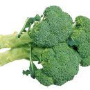 노박젠틀브이의원 이미지