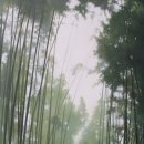 빛바람