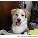 해피동물병원 이미지