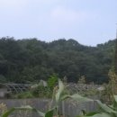 서구-01-146 이미지