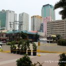 팜프라자 이미지