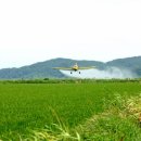 유인농장 이미지