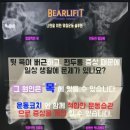 베어리핏 이미지