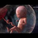 기막힌 동거 이미지