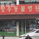 방주동물병원 이미지