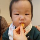 태권목장 이미지